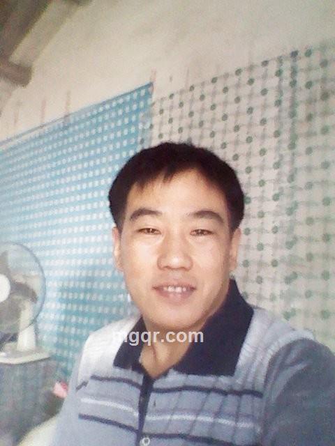 心灵绿叶的头像