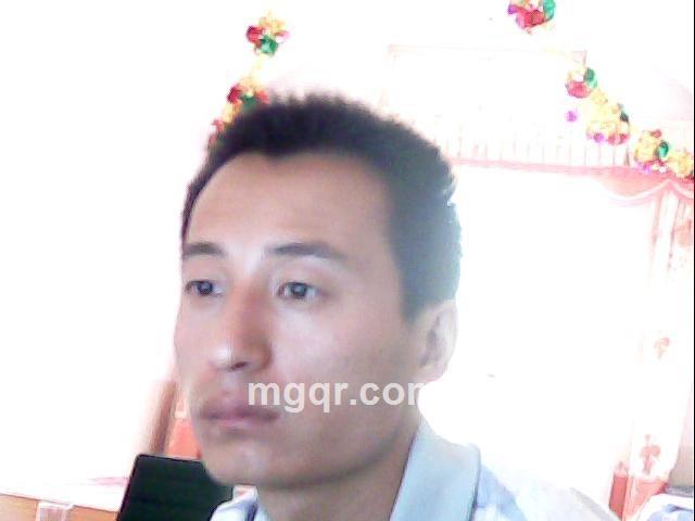 雄鹰王的头像