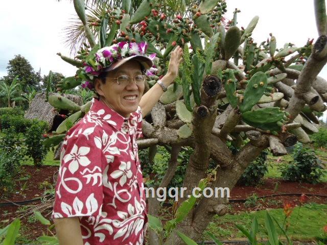 ｋａｎｎｏ的头像