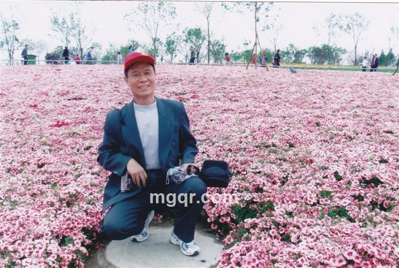 daodanyihao的头像