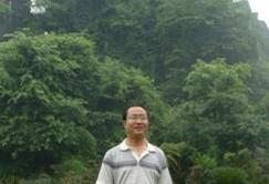 往事不再想的头像