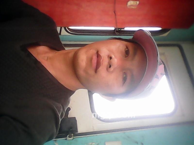 斯文的混混的头像