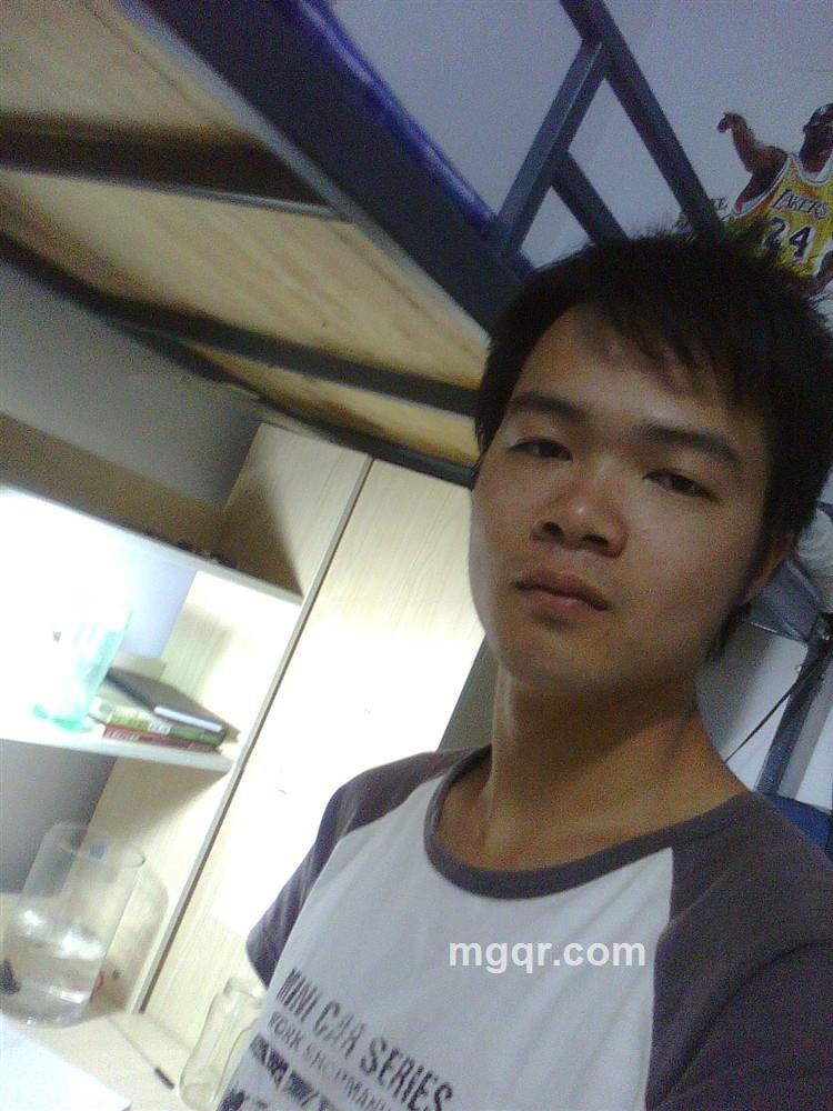 flyying小猪的头像