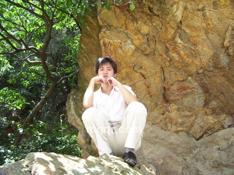 枫叶之风的头像