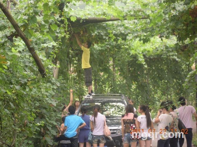 爽歪歪丿丶崋的头像