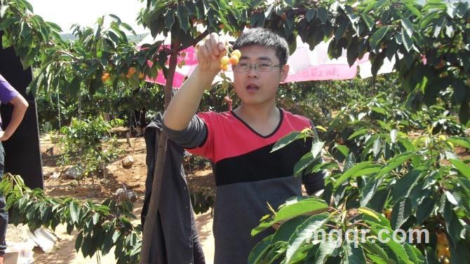 半岛龙少的头像