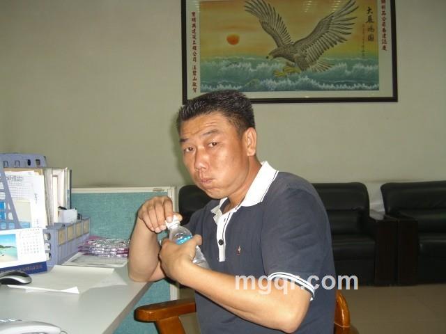 五颜六色，狼的头像