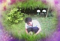 九霄龙吟的头像