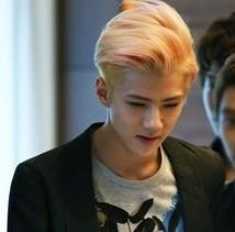 舍不得爱的头像