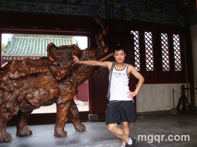 犀利老狼的头像