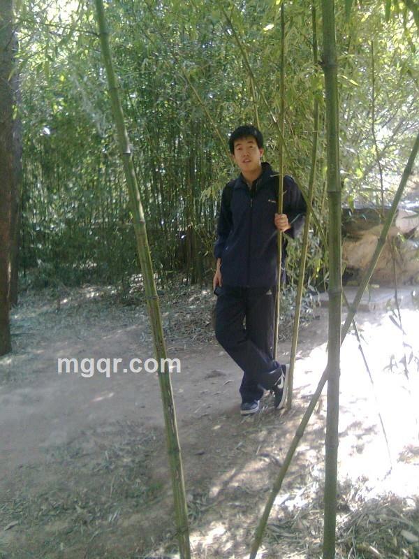 心随你动_的头像