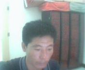 ---缘---分---的头像