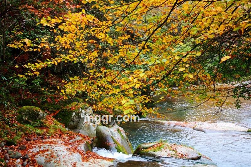 白衣卿相A的头像