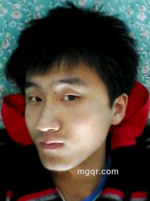 龙歌龙舞的头像