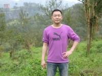 夕阳无限好只是近黄昏的头像