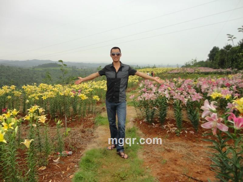 寂寞替身的头像