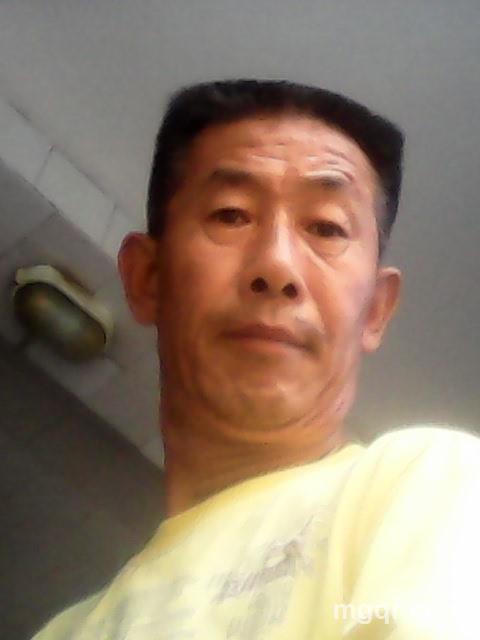 赛场上的鱼的头像