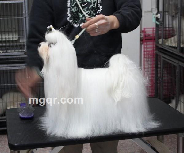 零度有点凉的头像