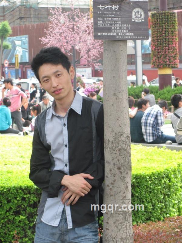 紫、枫叶的头像