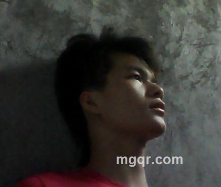 寂寞小鸟8的头像