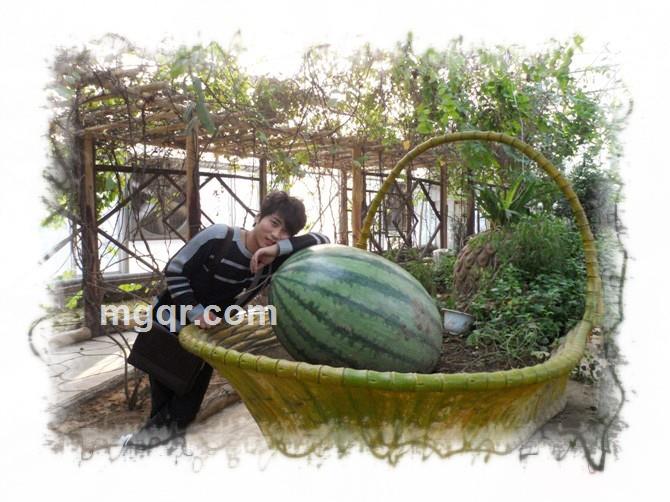 缘来是你,我来了的头像