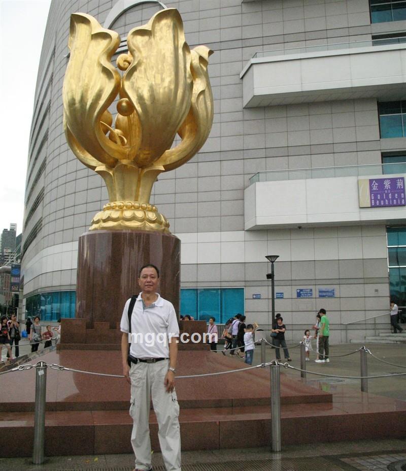 寻找一片绿叶的头像