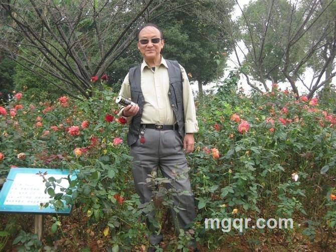 秦哥春风的头像