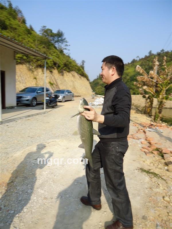 yangguang888的头像