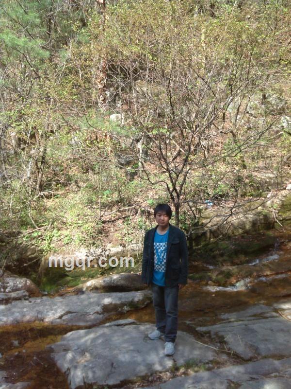 梦回未来的头像