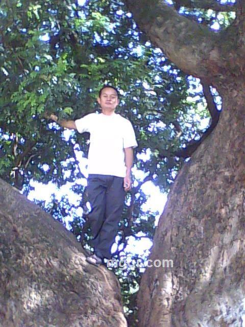 dendaiyouyuanren的头像