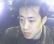 野猫之恋的头像