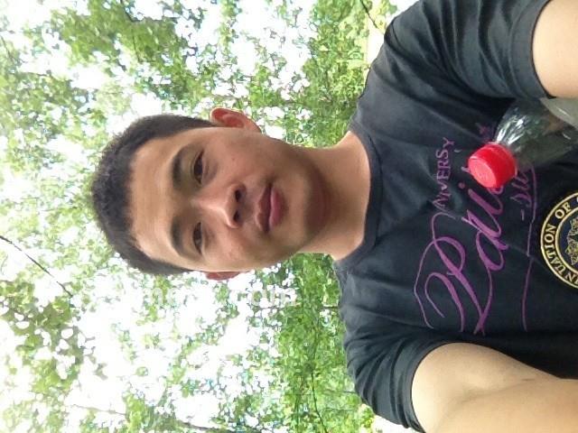 奋战到底的头像