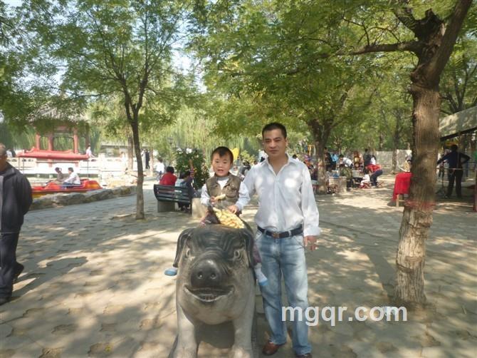 512856636昨夜细雨的头像