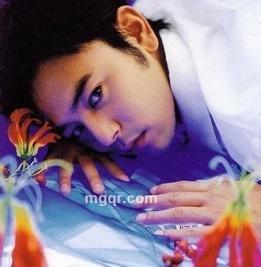 清风吹那夜的头像