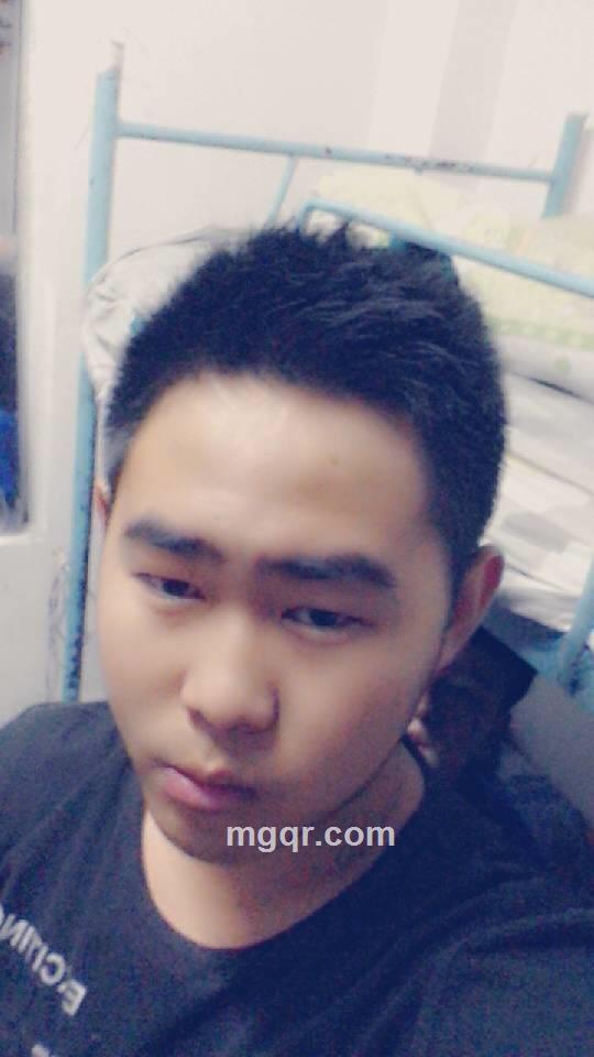 金钱P酒小姐狗与AK47