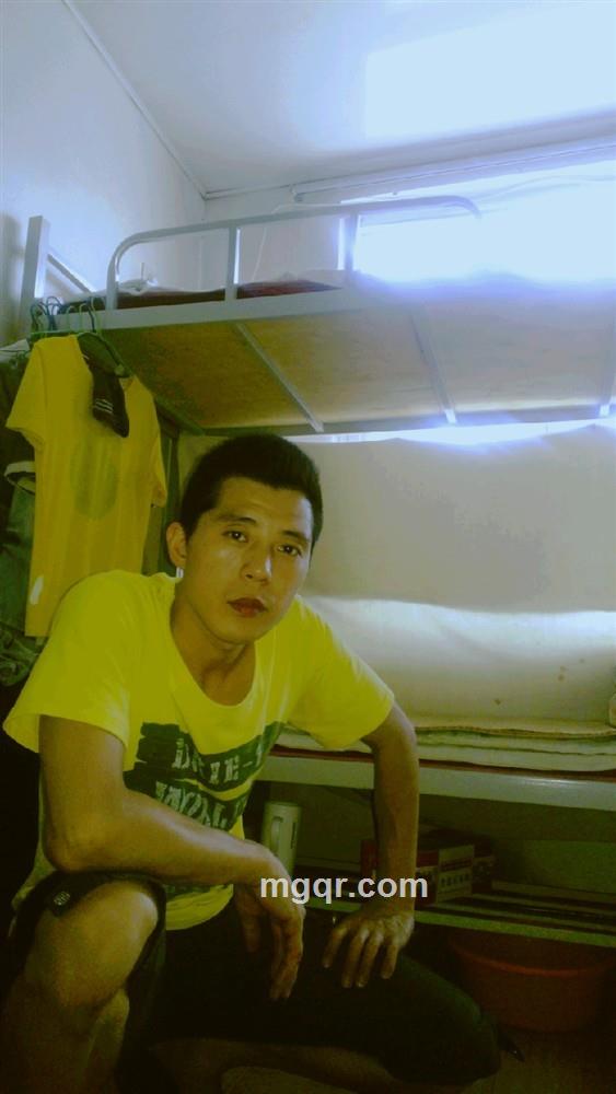 勇敢的心的头像