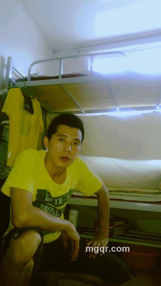 勇敢的心的头像