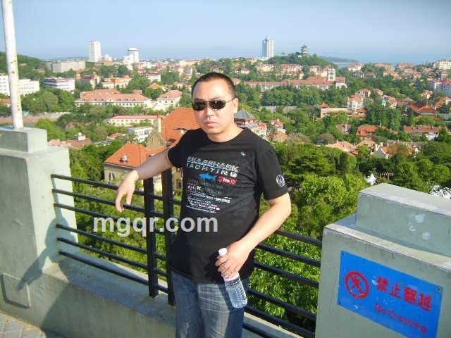 寂寞的鸟儿等虫吃的头像