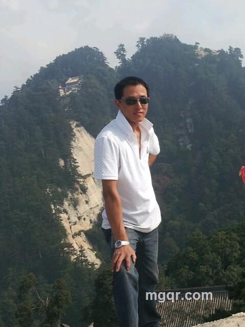 自由的飛翔的头像