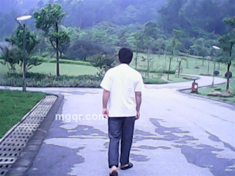 风中的云的头像