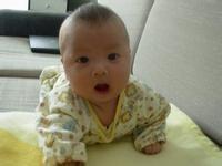 老实实干家的头像