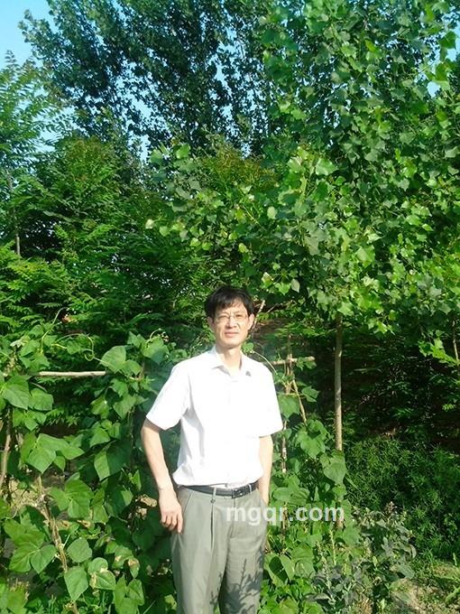 鹏程万里2012的头像