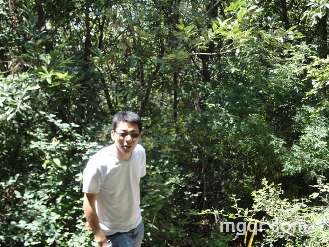 为你夜未央的头像