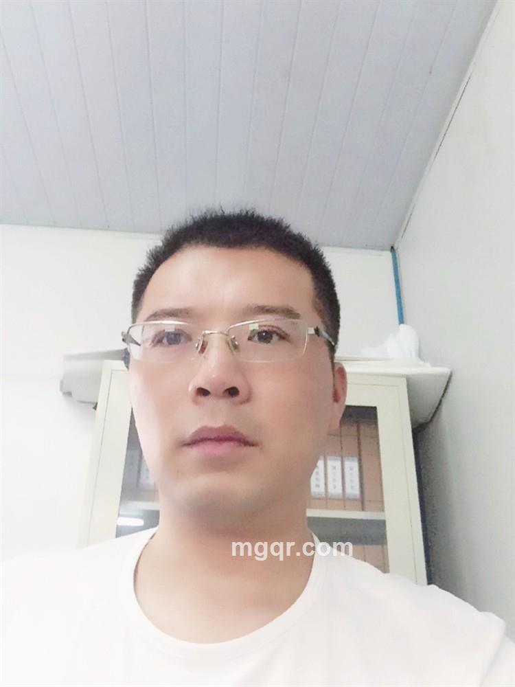 阳光下的水牛的头像