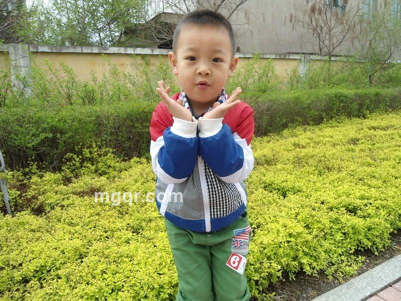 玫瑰武二郎的头像