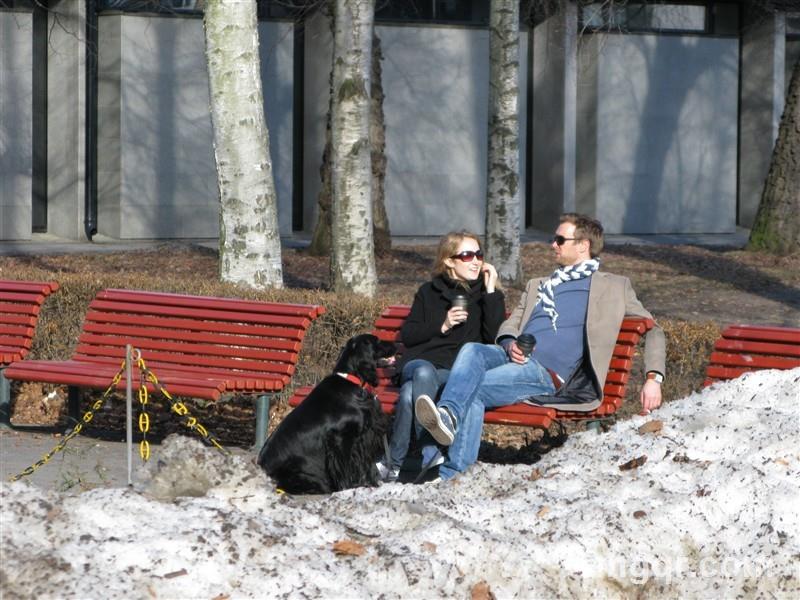 成熟外资男的头像