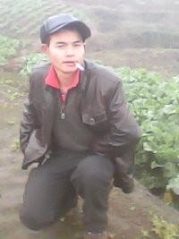 淡淡 的夜的头像