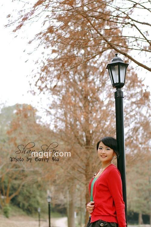 西伯利亚小狼的头像