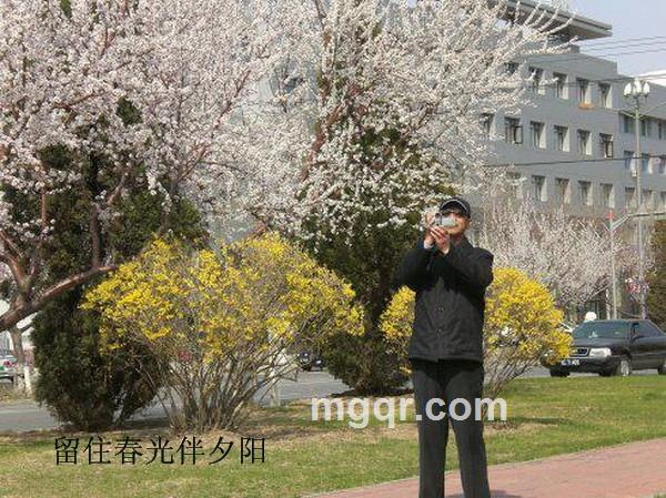 大哥jj的头像