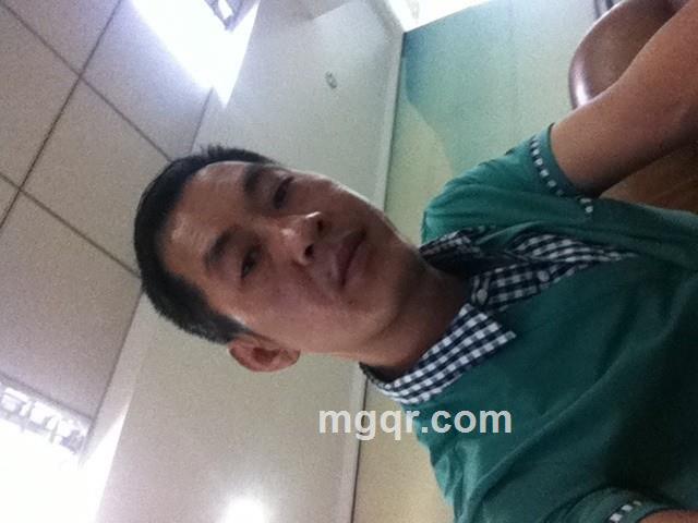 围墙上的猫的头像